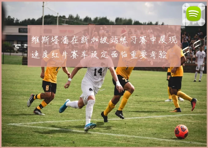 维斯塔潘在新加坡站练习赛中展现速度红牛赛车设定面临重要考验