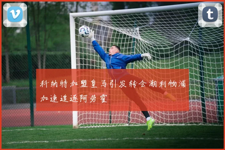 科纳特加盟皇马引发转会潮利物浦加速追逐阿劳霍